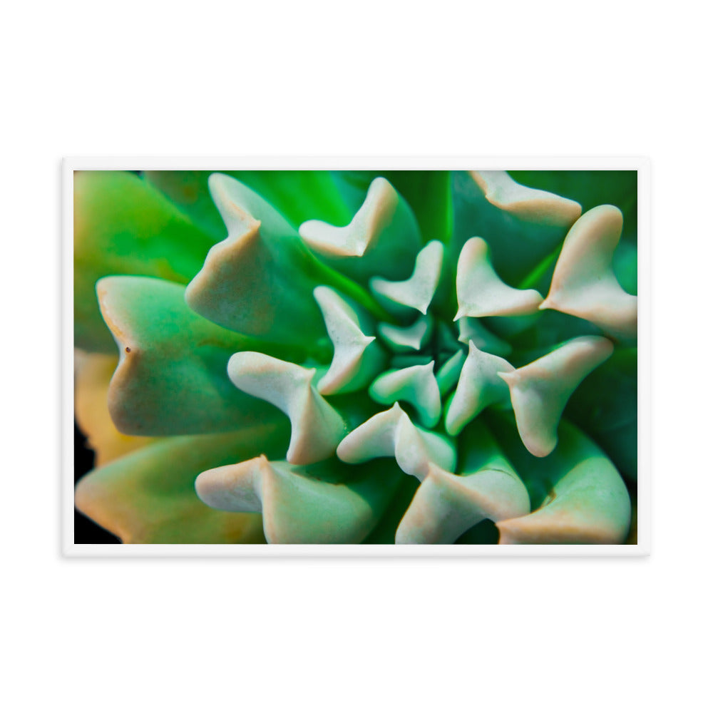 Succulent Botanical Nature Photo Framed Wall Art Print