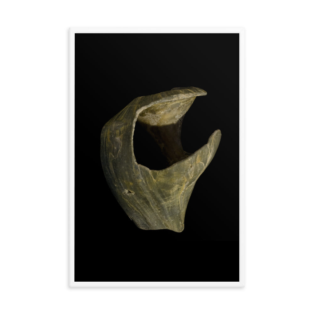 State of Erosion Image 5 Whelk Shell Coastal Nature Photo Framed Wall Art Print