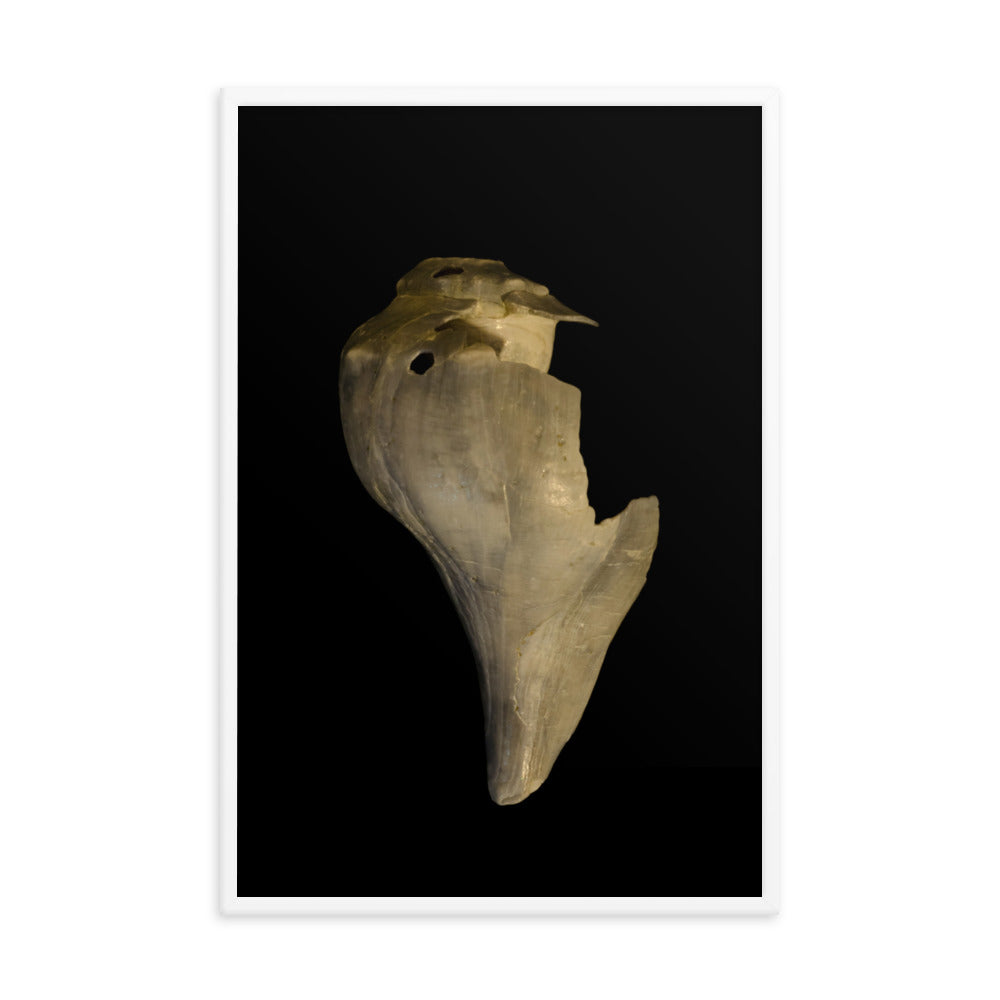 State of Erosion Image 7 Whelk Shell Coastal Nature Photo Framed Wall Art Print