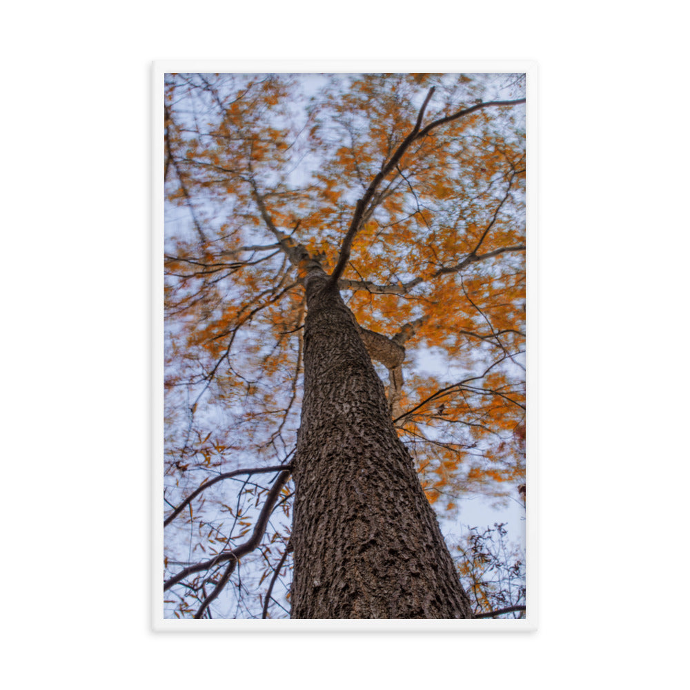 Wind in the Trees Botanical Nature Photo Framed Wall Art Print