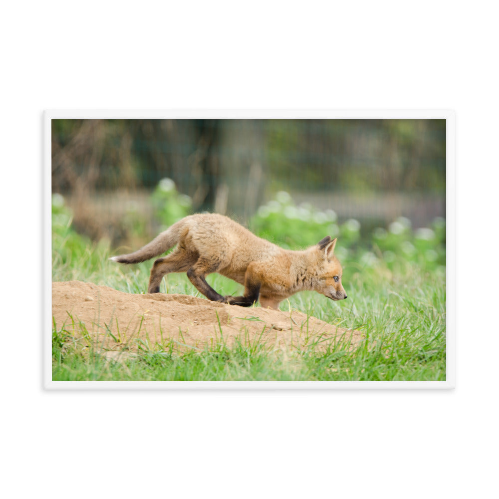 Woodland Art Nursery: Baby Fox Pup In Meadow - Animal / Wildlife / Nature Artwork - Wall Decor - Framed Wall Art Print