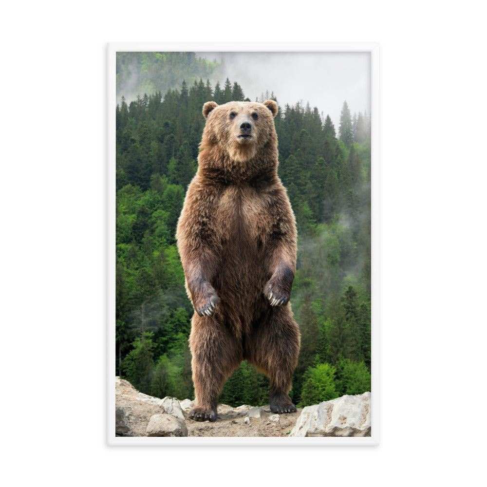 Big Standing Brown Bear on Mountain Top Animal Wildlife Photograph Framed Wall Art Prints