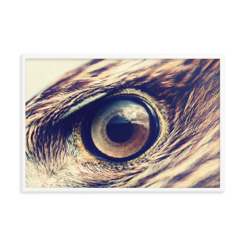 Close-up Eagle Eye Color Tone Animal Wildlife Photograph Framed Wall Art Prints