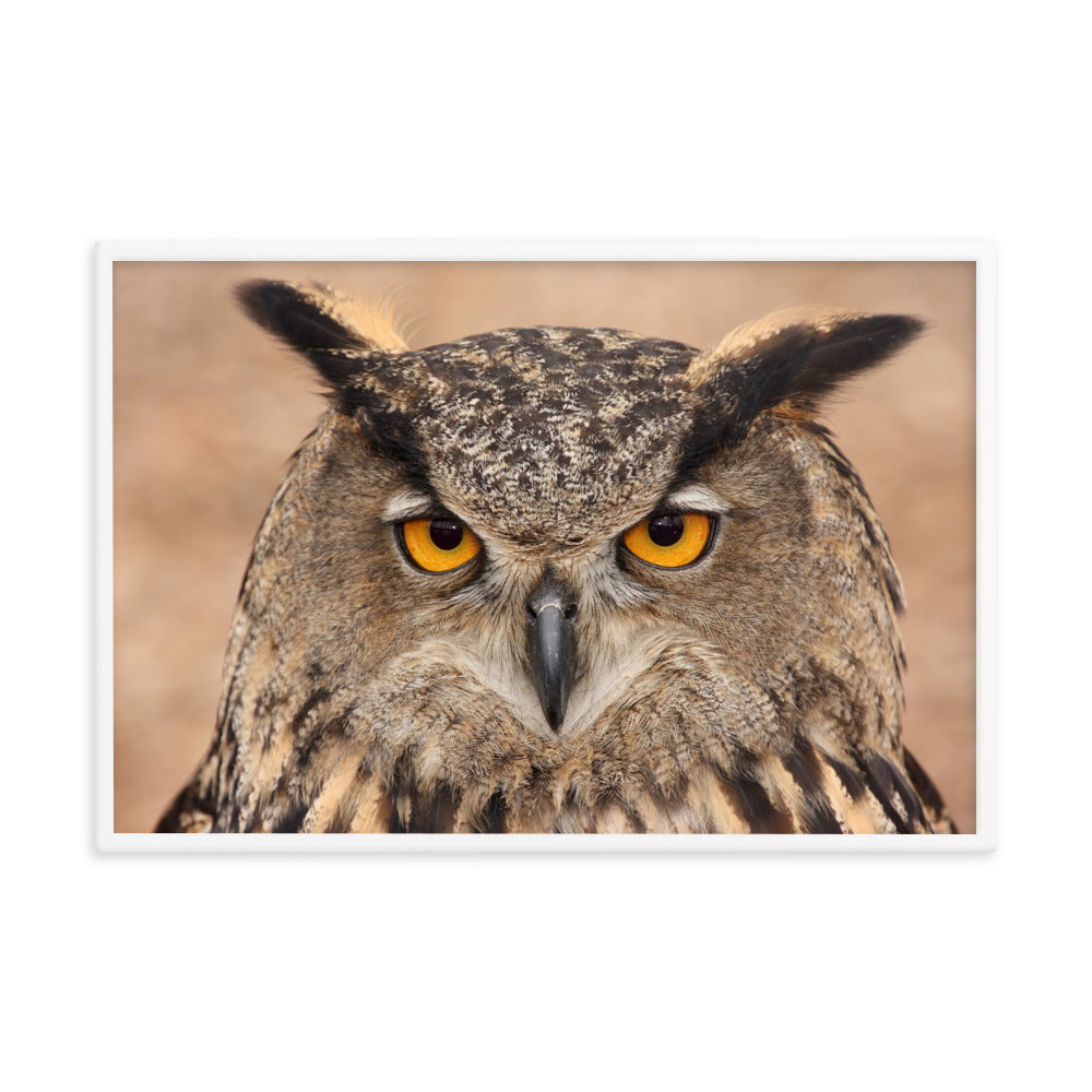 Close-up Yellow Eurasian Eagle Owl Wildlife Animal Framed Wall Art Print