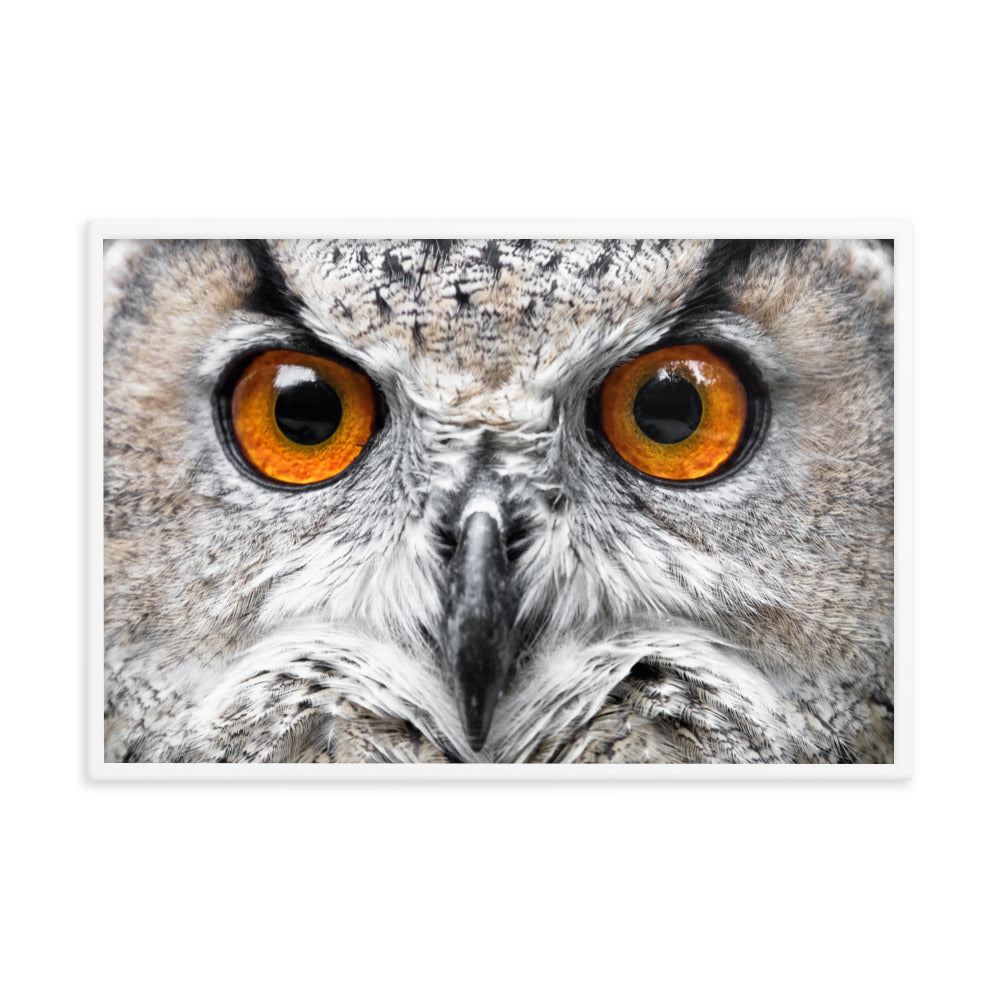 Close-up Yellow Owl Eyes Animal Wildlife Photograph Framed Wall Art Print