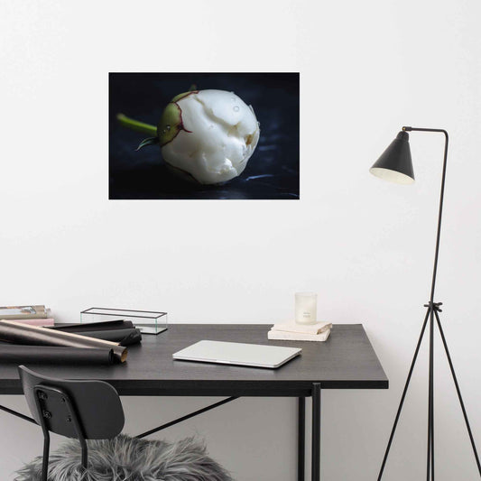 Stark Botanical Peony Bud Floral Photorealistic Digital Artwork Unframed Art Print