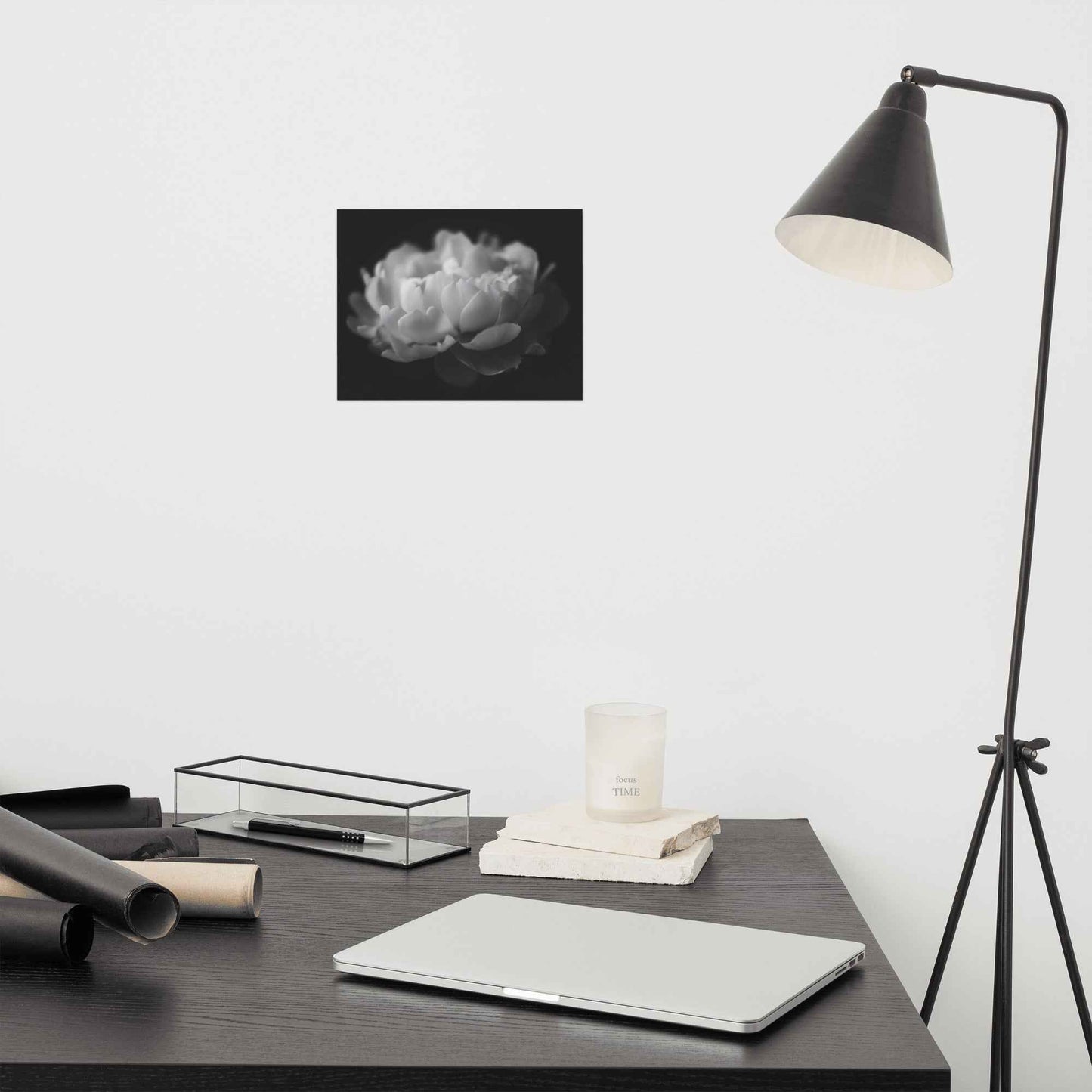Contrast in Nature Floral Photorealistic Digital Artwork Peonies Wall Art Black and White Loose Art Print