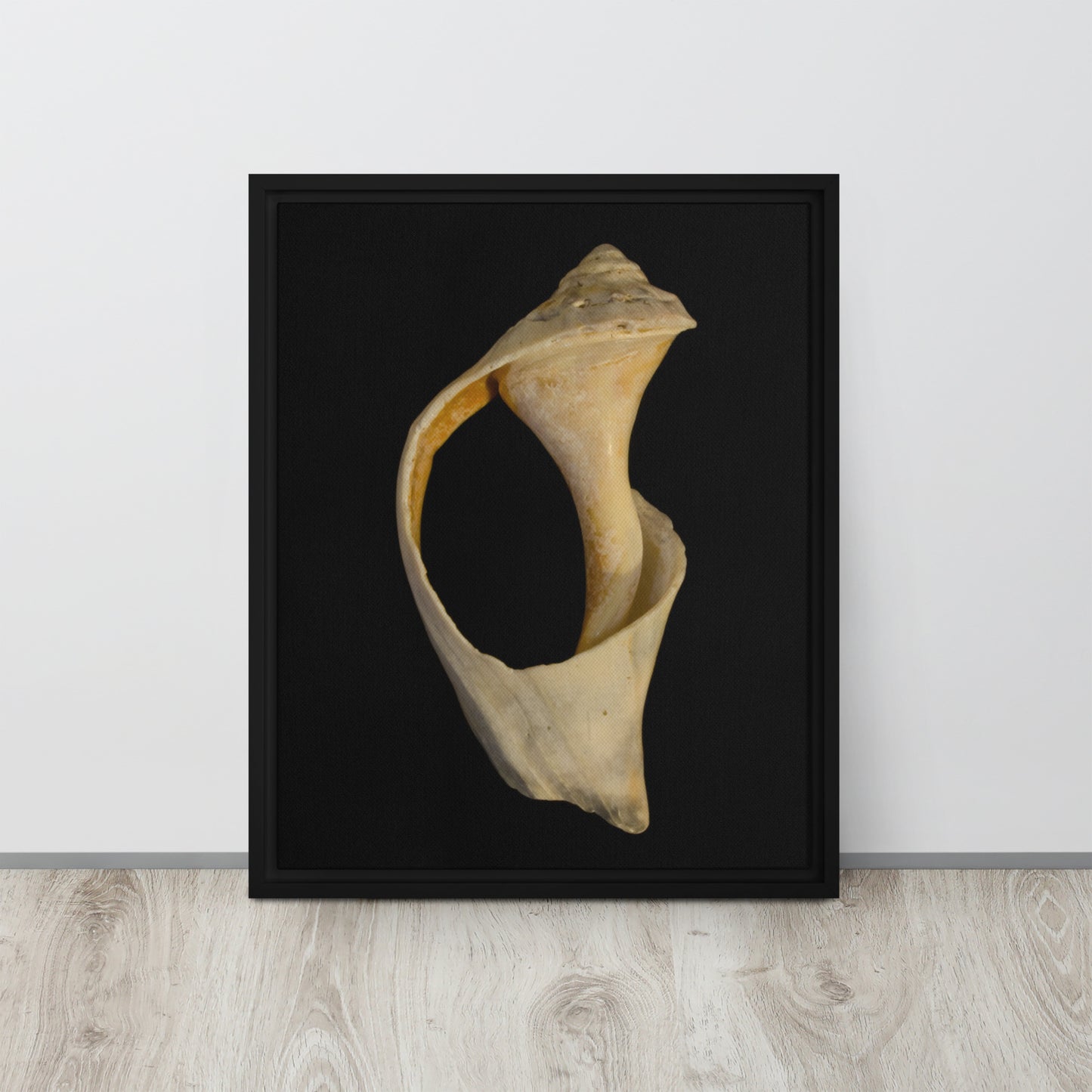 State of Erosion Image 2 Whelk Shell Coastal Nature Wall Art Prints Framed Canvas Wall Art Prints