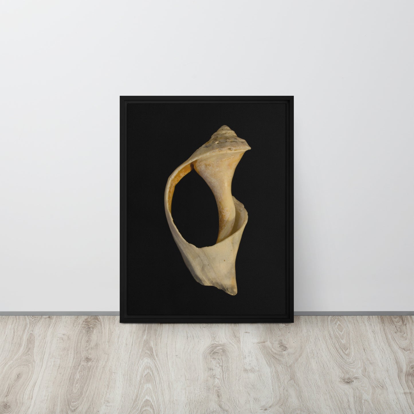 State of Erosion Image 2 Whelk Shell Coastal Nature Wall Art Prints Framed Canvas Wall Art Prints