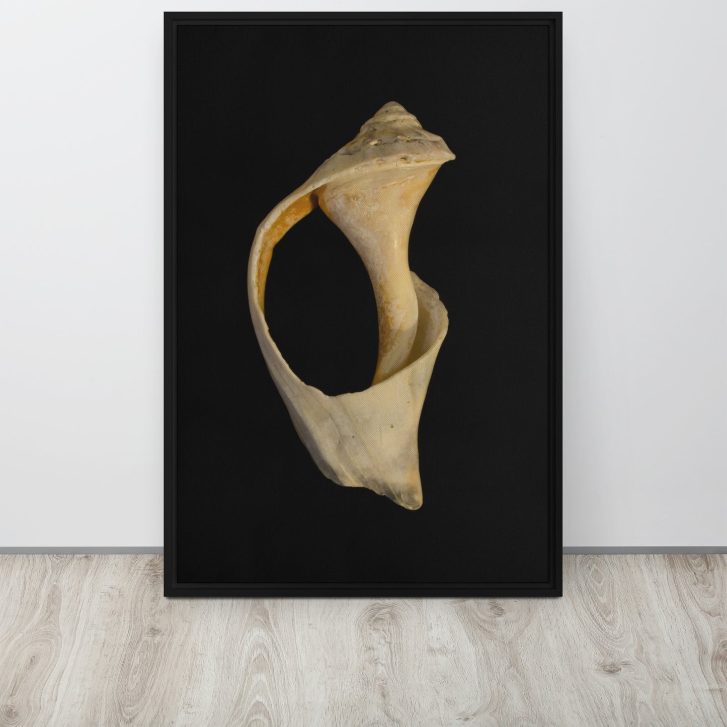 State of Erosion Image 2 Whelk Shell Coastal Nature Wall Art Prints Framed Canvas Wall Art Prints