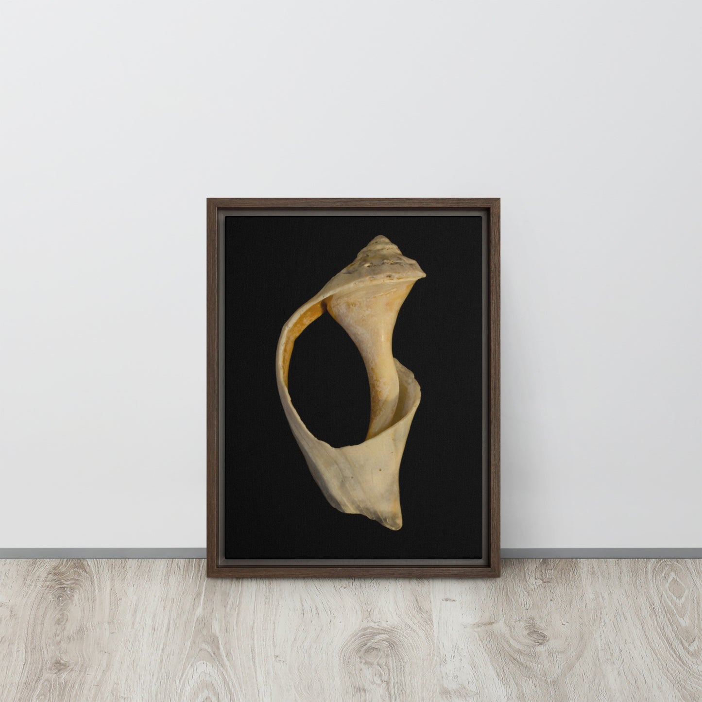 State of Erosion Image 2 Whelk Shell Coastal Nature Wall Art Prints Framed Canvas Wall Art Prints