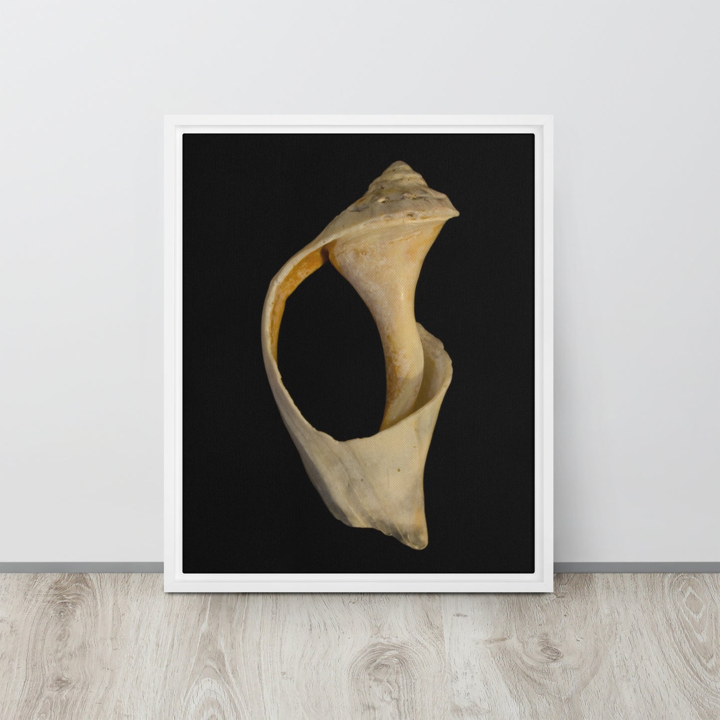 State of Erosion Image 2 Whelk Shell Coastal Nature Wall Art Prints Framed Canvas Wall Art Prints