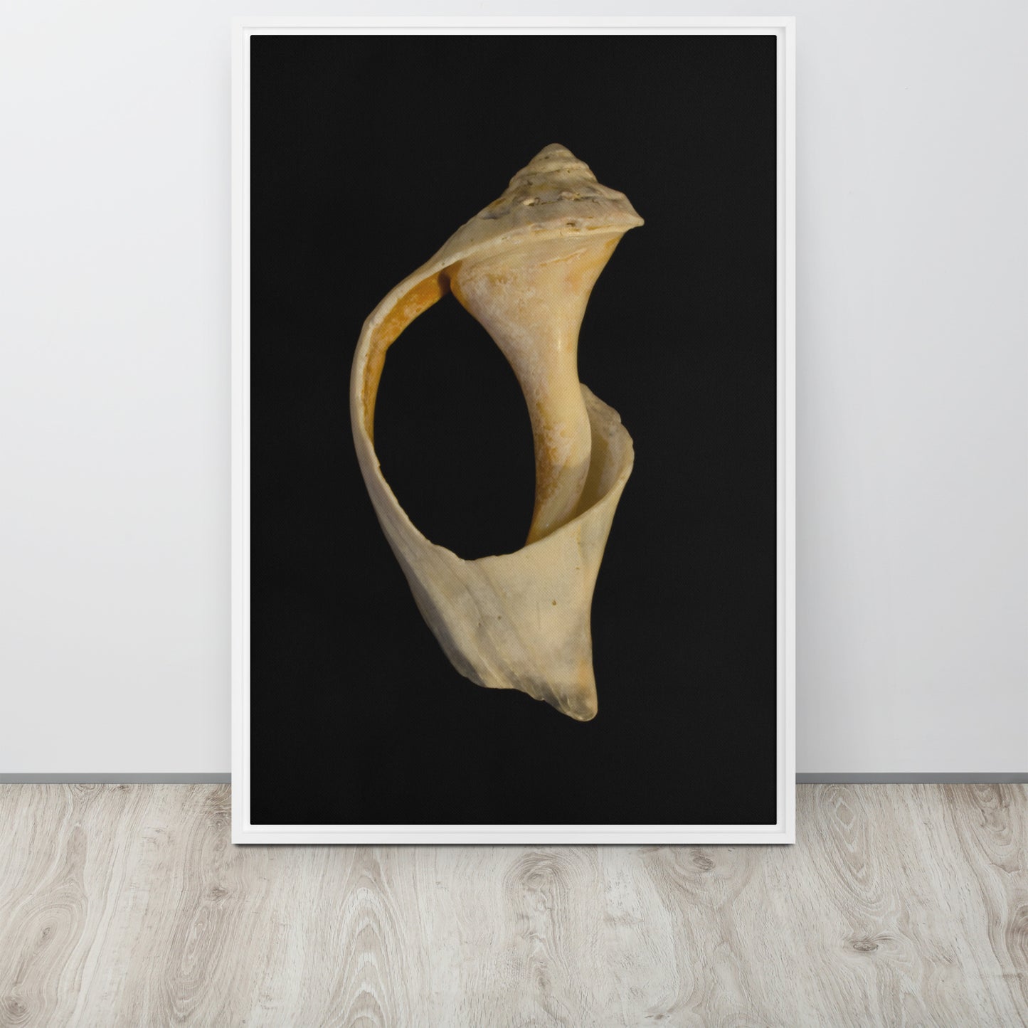 State of Erosion Image 2 Whelk Shell Coastal Nature Wall Art Prints Framed Canvas Wall Art Prints