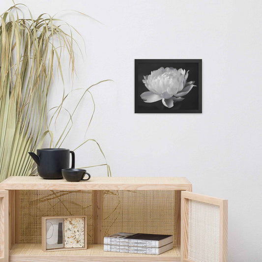 Velvet Shadows Floral Photorealistic Digital Artwork Peony Flower Prints Black and White Framed