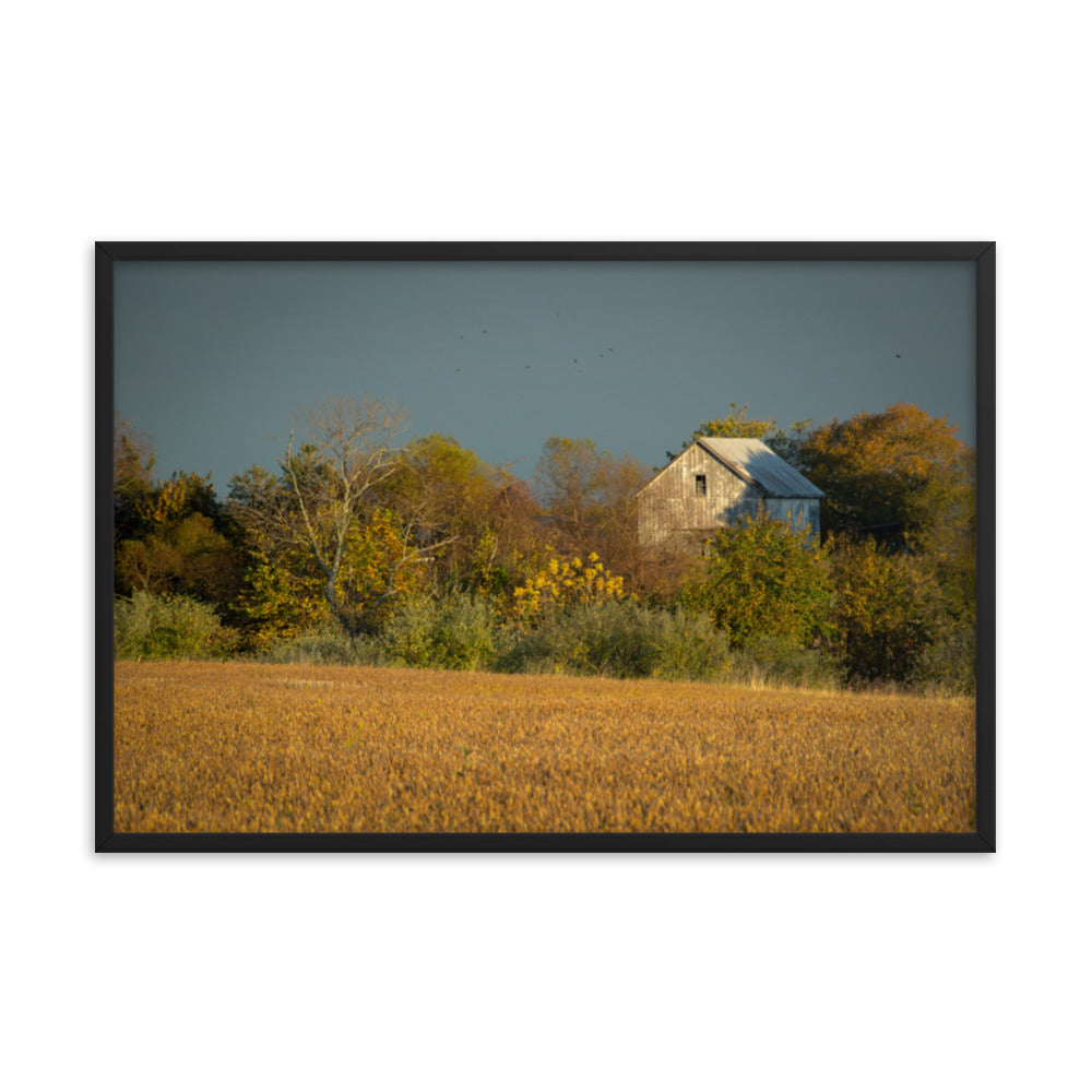 Farmhouse Art Wall: Abandoned Barn In The Trees Framed Photo Rustic / Country Style Landscape Photography Wall Art Prints - Artwork - Wall Decor