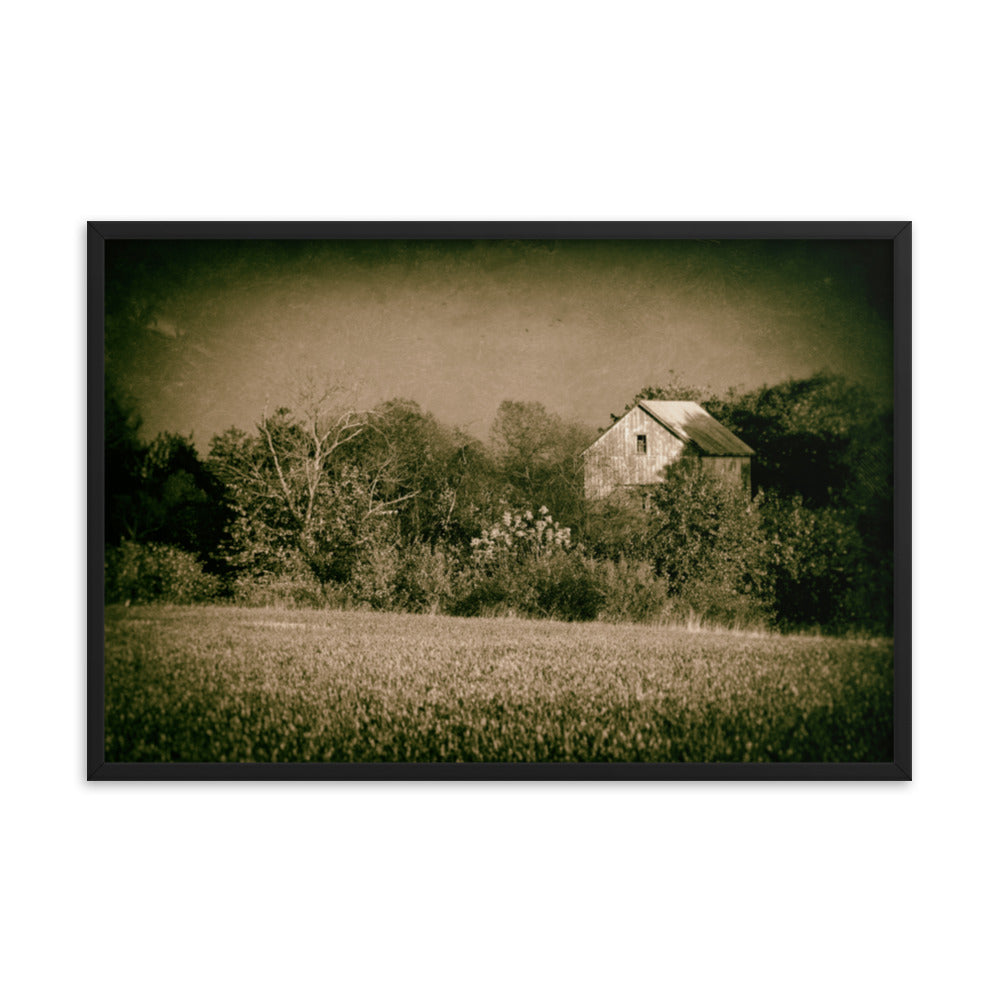 Rustic Abstract Art: Abandoned Barn In The Trees - Rural / Rustic / Farmhouse Style / Landscape / Nature Vintage Framed Photo Paper Prints - Artwork - Wall Decor