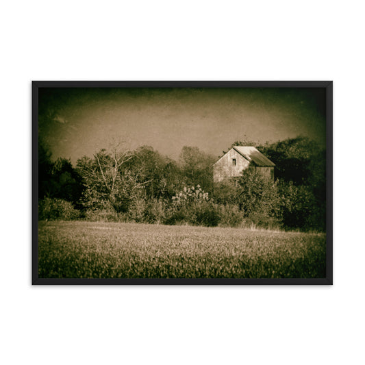 Rustic Abstract Art: Abandoned Barn In The Trees - Rural / Rustic / Farmhouse Style / Landscape / Nature Vintage Framed Photo Paper Prints - Artwork - Wall Decor