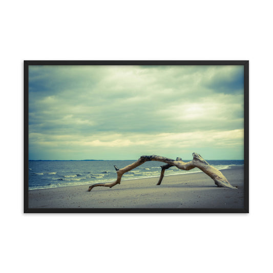 The Cove Coastal Landscape Framed Photo Paper Wall Art Prints