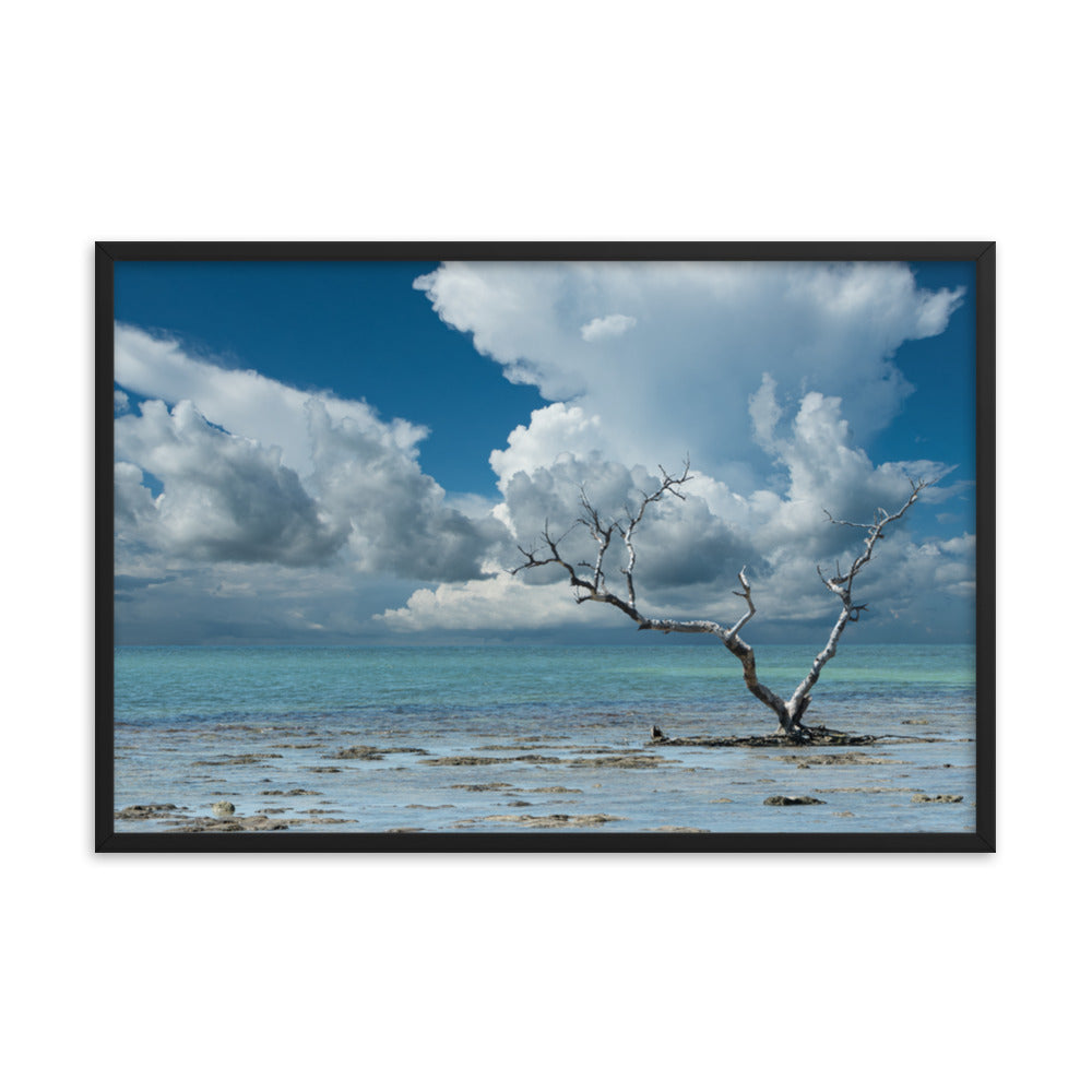 Wanderlust Traditional Color Coastal Landscape Photo Framed Paper Poster