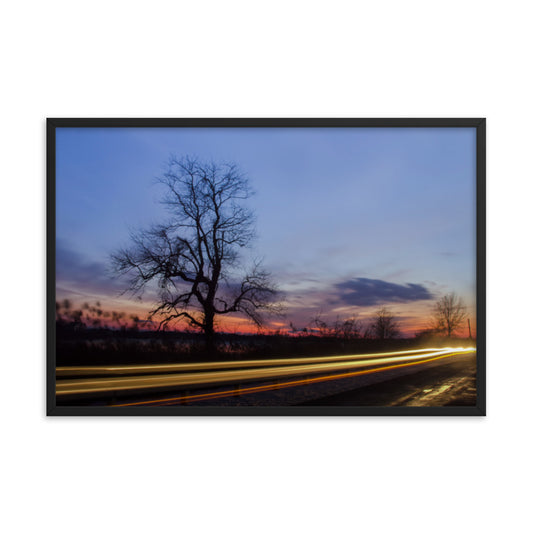 Wicked Tree Rural Landscape Framed Photo Paper Wall Art Prints
