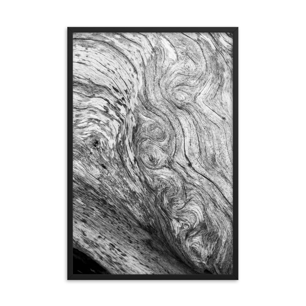 Dead Tree Boneyard Beach Florida Texture Close-up 5 Black and White Rustic Nature Photo Framed Wall Art Print