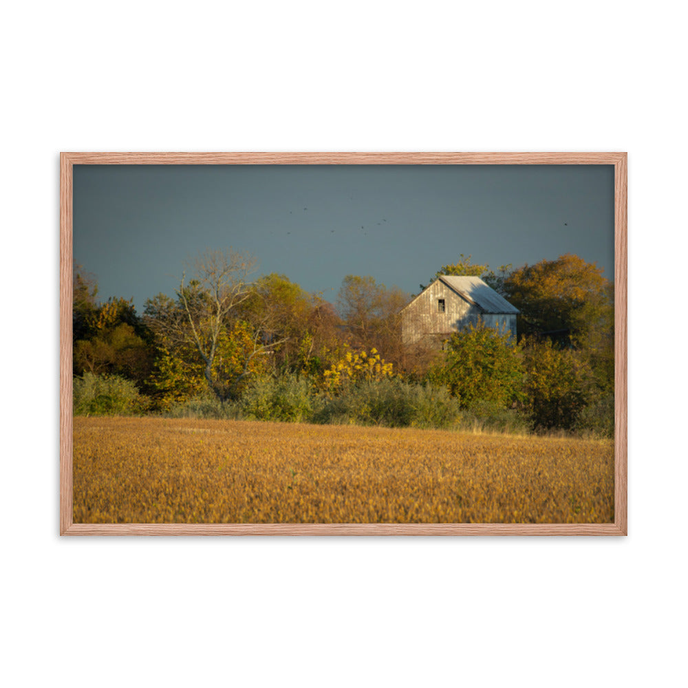 Rustic Country Artwork: Abandoned Barn In The Trees Framed Photo Rustic / Country Style Landscape Photography Wall Art Prints - Artwork - Wall Decor