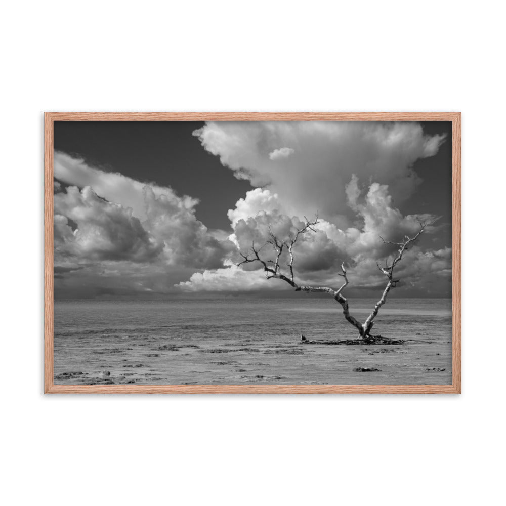 Wanderlust High Contrast Black and White Coastal Landscape Photo Framed Wall Art Print