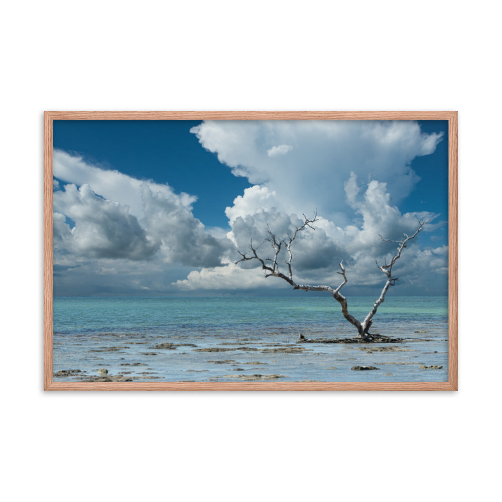 Wanderlust Traditional Color Coastal Landscape Photo Framed Paper Poster
