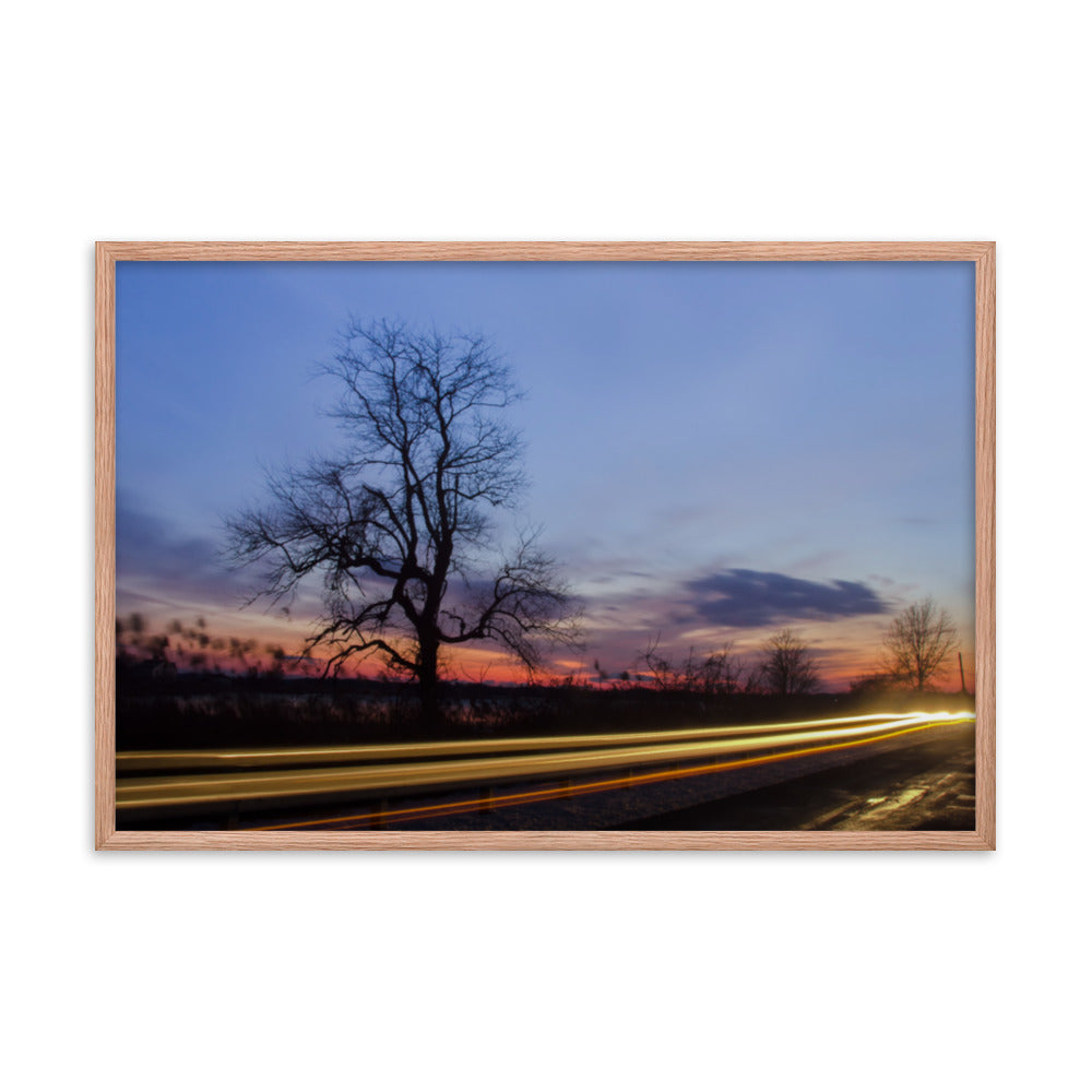 Wicked Tree Rural Landscape Framed Photo Paper Wall Art Prints