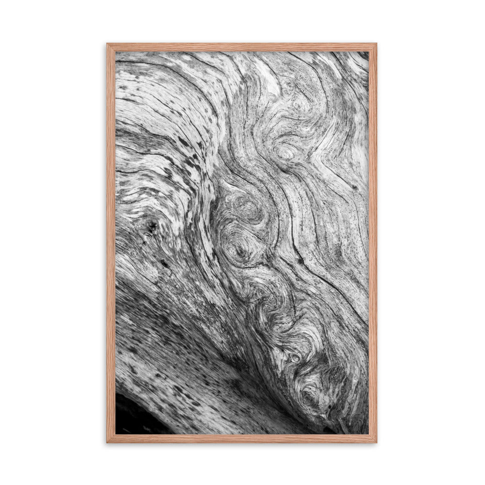 Dead Tree Boneyard Beach Florida Texture Close-up 5 Black and White Rustic Nature Photo Framed Wall Art Print