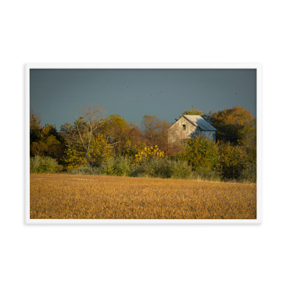 Rustic Decor Art: Abandoned Barn In The Trees Framed Photo Rustic / Country Style Landscape Photography Wall Art Prints - Artwork - Wall Decor