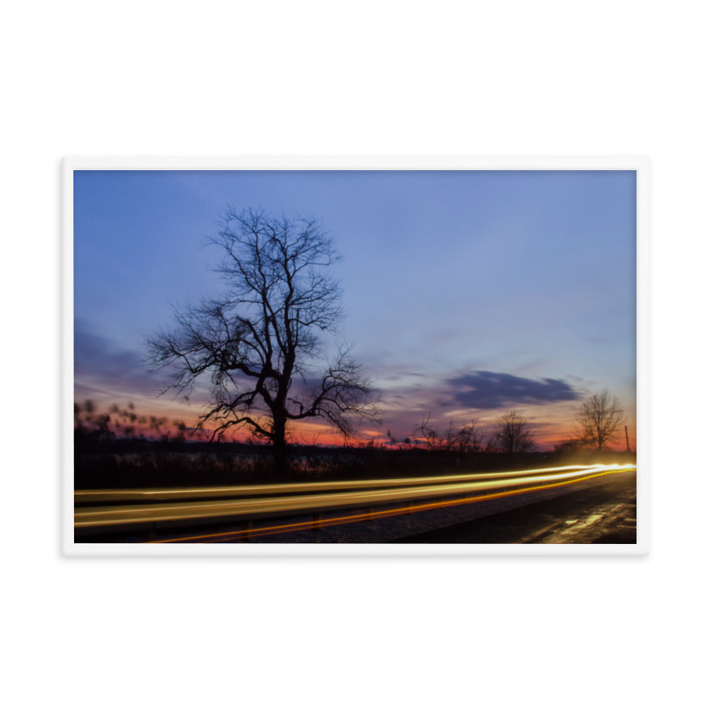 Wicked Tree Rural Landscape Framed Photo Paper Wall Art Prints