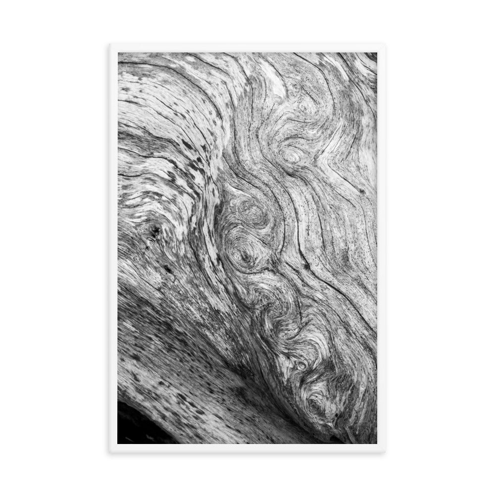 Dead Tree Boneyard Beach Florida Texture Close-up 5 Black and White Rustic Nature Photo Framed Wall Art Print