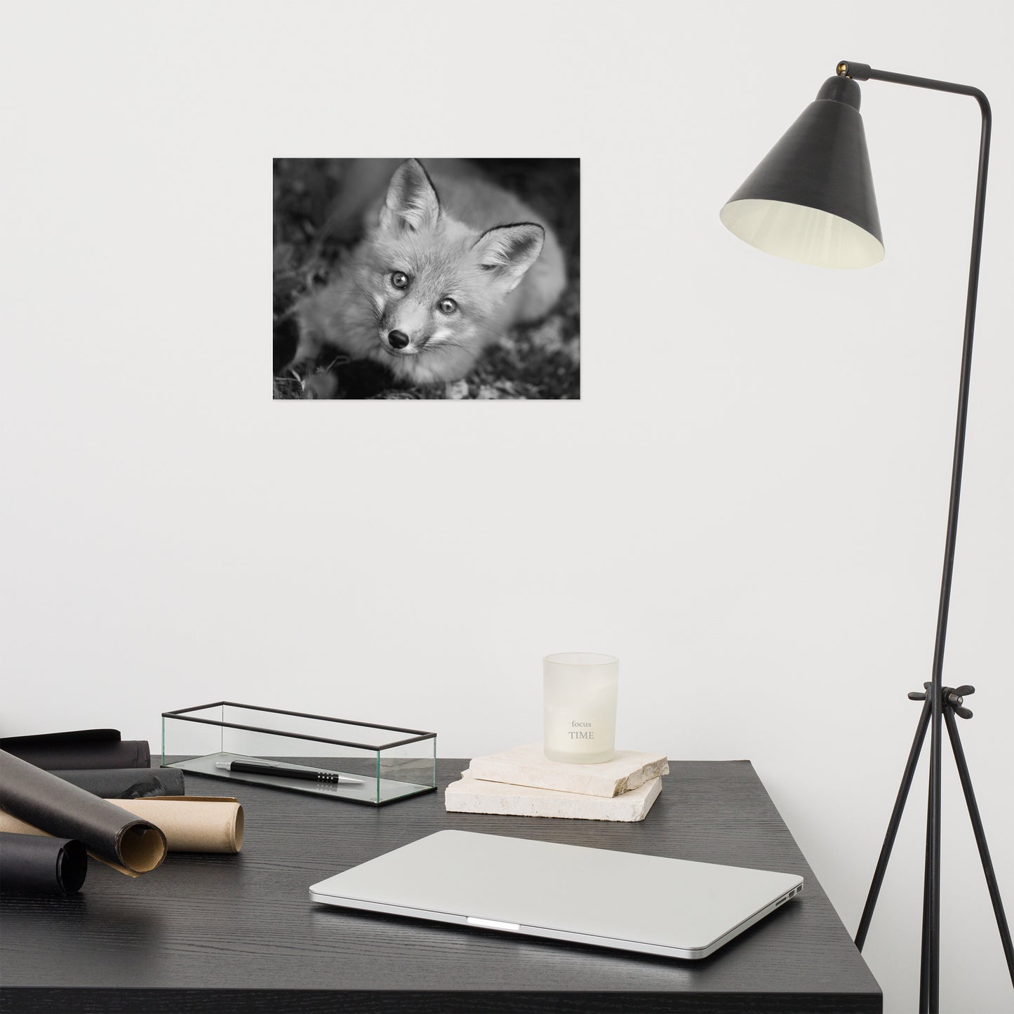 Young Red Fox Face Black and White Animal Wildlife Rustic Farmhouse Style Nature Photograph Loose Wall Art Print