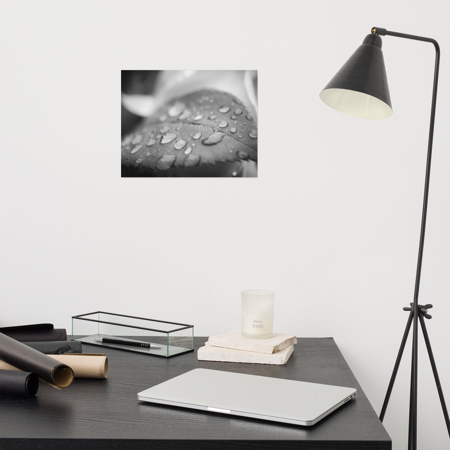 Dew on Leaf of Rose Plant Black and White Rustic Botanical Nature Photo Loose Unframed Wall Art Prints