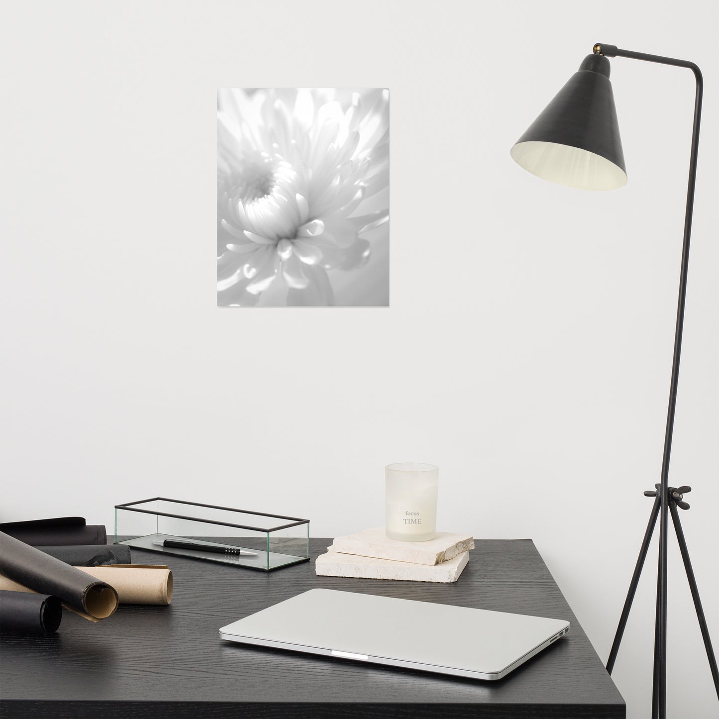 Infrared Flower Black and White Floral Nature Photo Loose Unframed Wall Art Prints