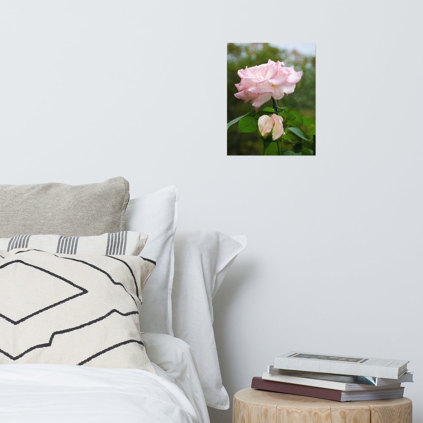 Wall Flower Print: Admiration Rose - Botanical / Floral / Flora / Flowers / Nature Photograph Loose / Unframed / Frameless / Frameable Wall Art Print - Artwork