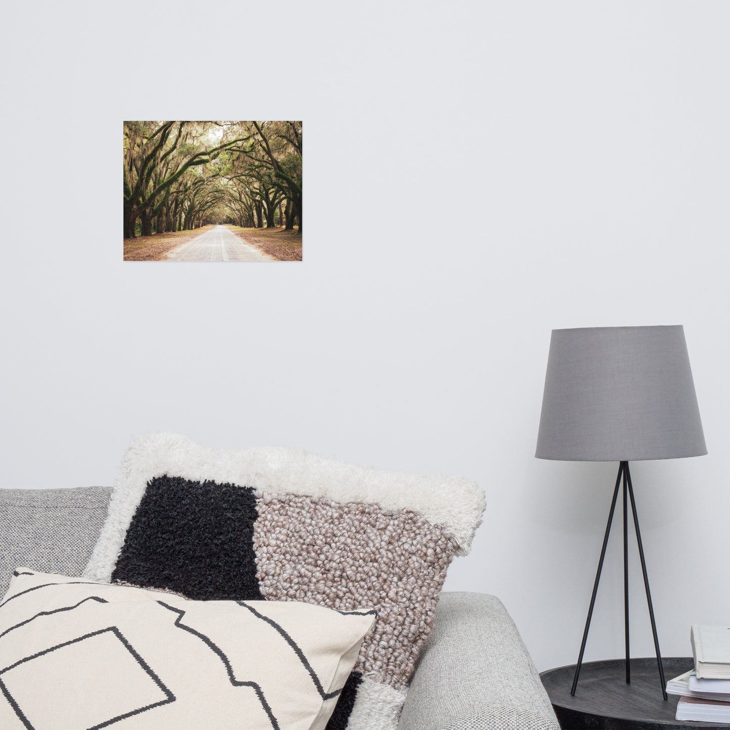 Live Oak Trees and Spanish Moss Roadway Savannah Ga Rustic Farmhouse Style Nature Landscape Photo Loose Wall Art Print