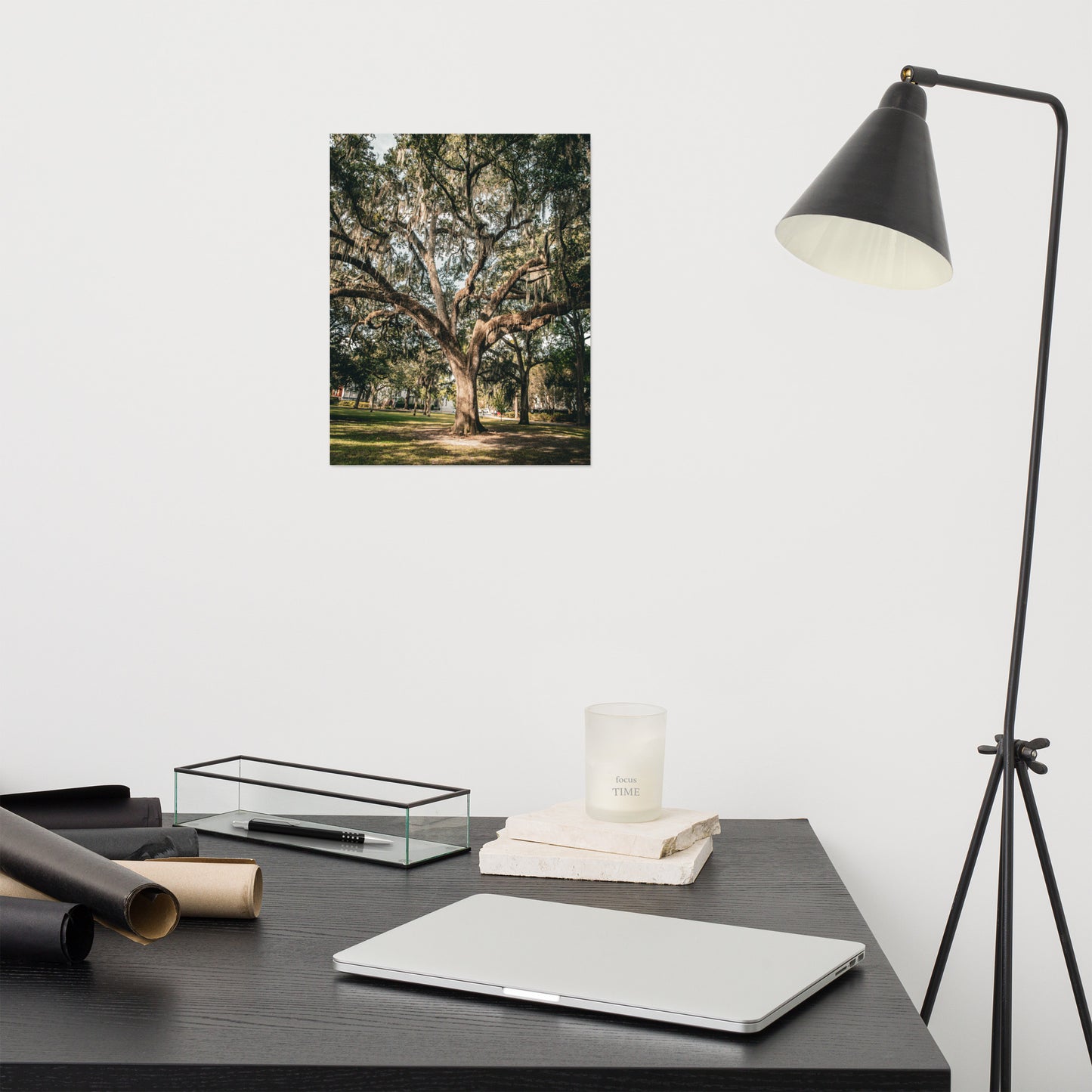 Live Oak Tree & Spanish Moss Forsyth Park Savannah Ga Rustic Farmhouse Style Nature Photo Loose Wall Art Print