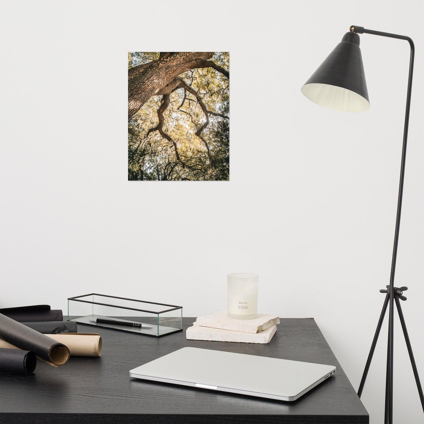 Live Oak Tree & Spanish Moss Forsyth Park Savannah Ga 2 Rustic Farmhouse Style Nature Photo Loose Wall Art Print