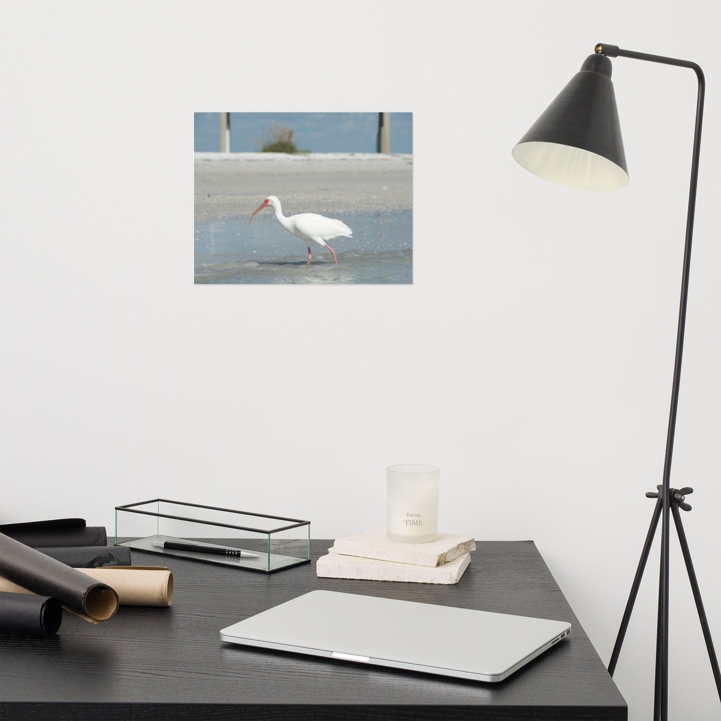 White Ibis on the Shore Coastal Wildlife Photo Loose Wall Art Print