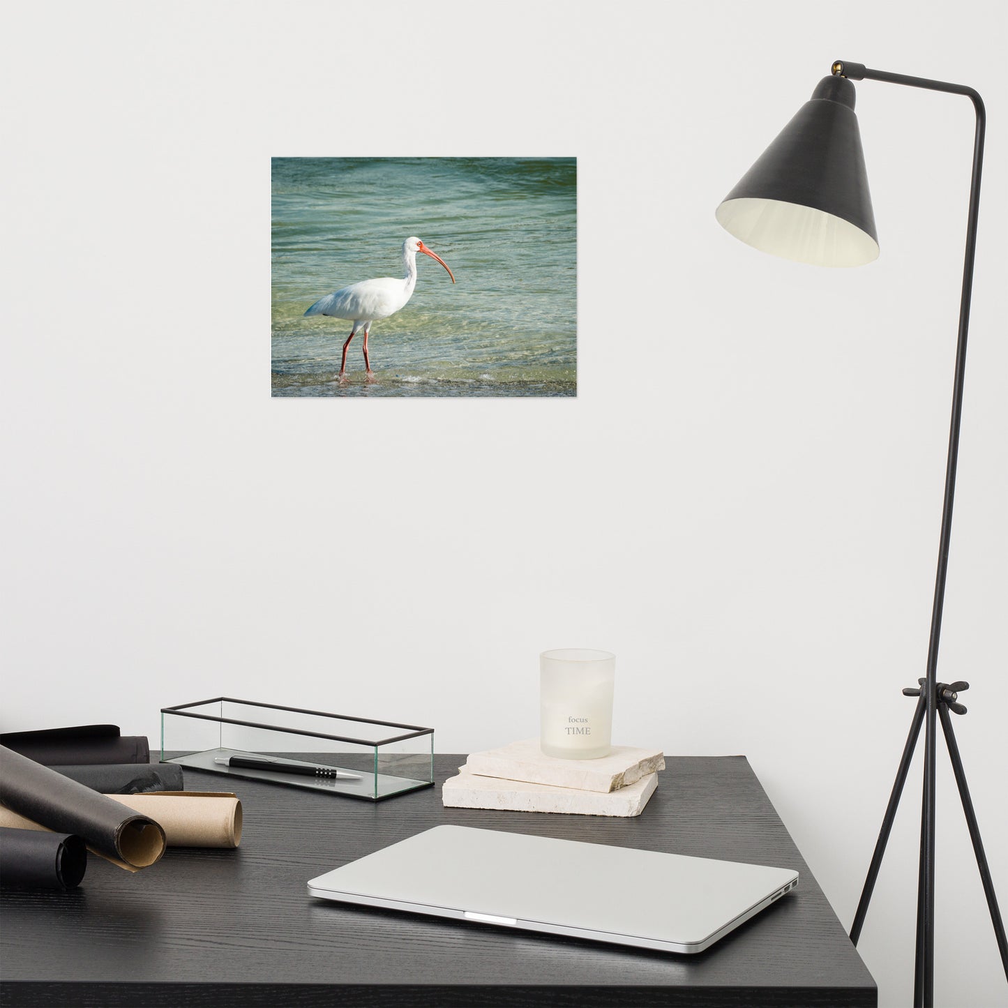 Daydreaming Ibis of the Coast Wildlife Photo Loose Wall Art Print