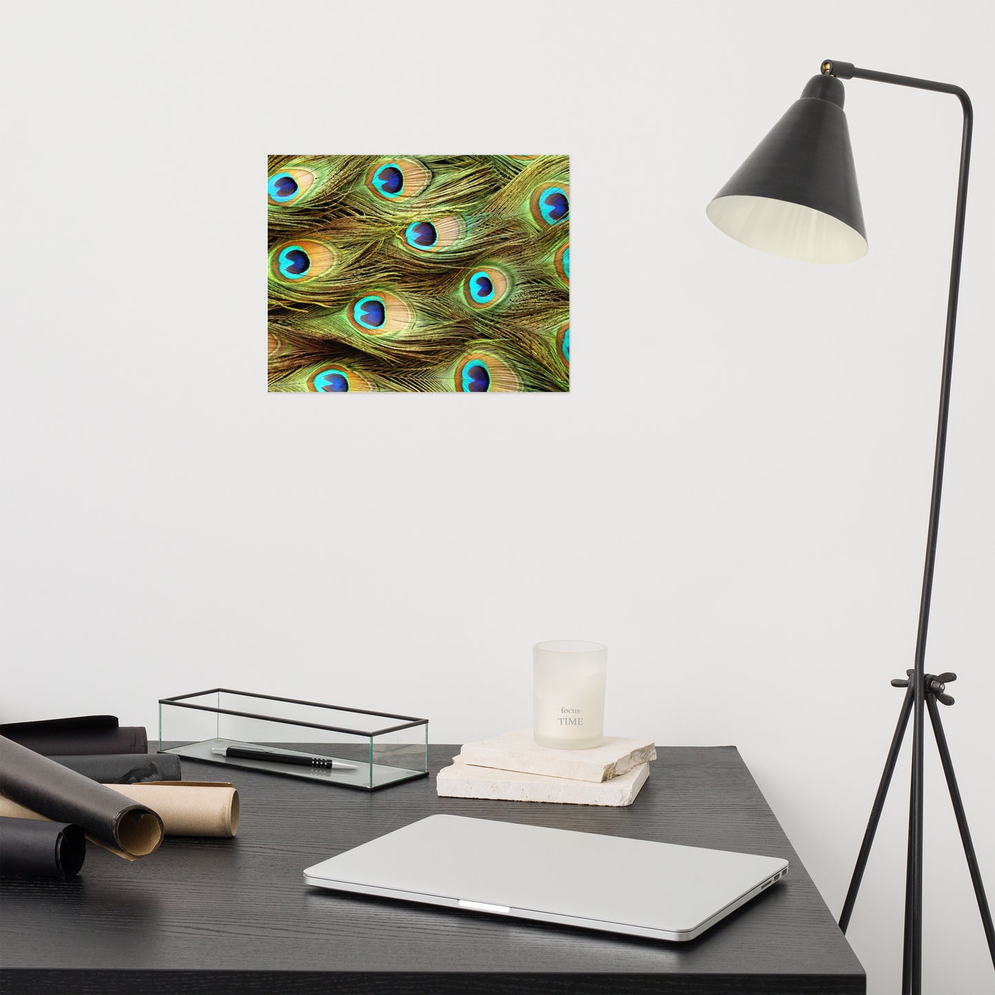 Peacock Feathers Close-Up Minimal Wildlife Wall Art Prints - Loose - Unframed