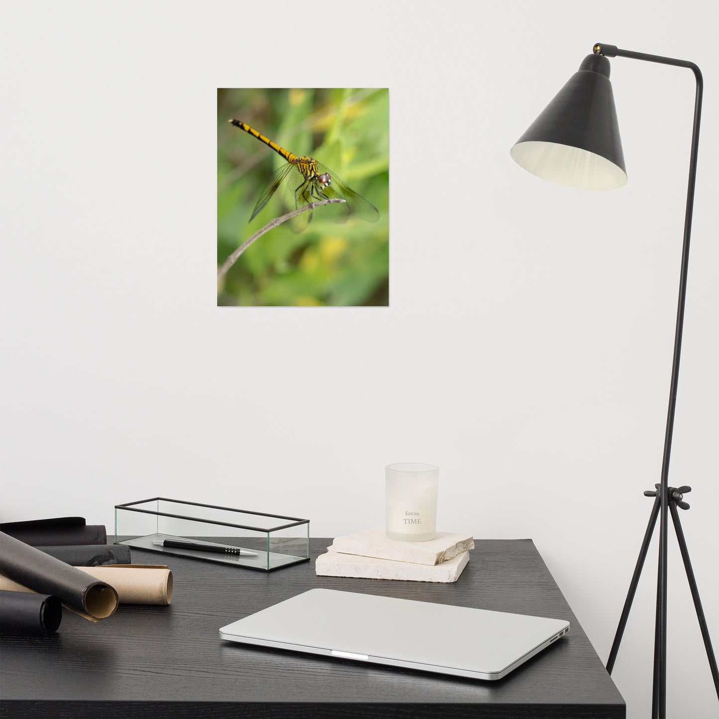Dragonfly on Twig Wildlife Farmhouse Style Photograph Loose Wall Art Print