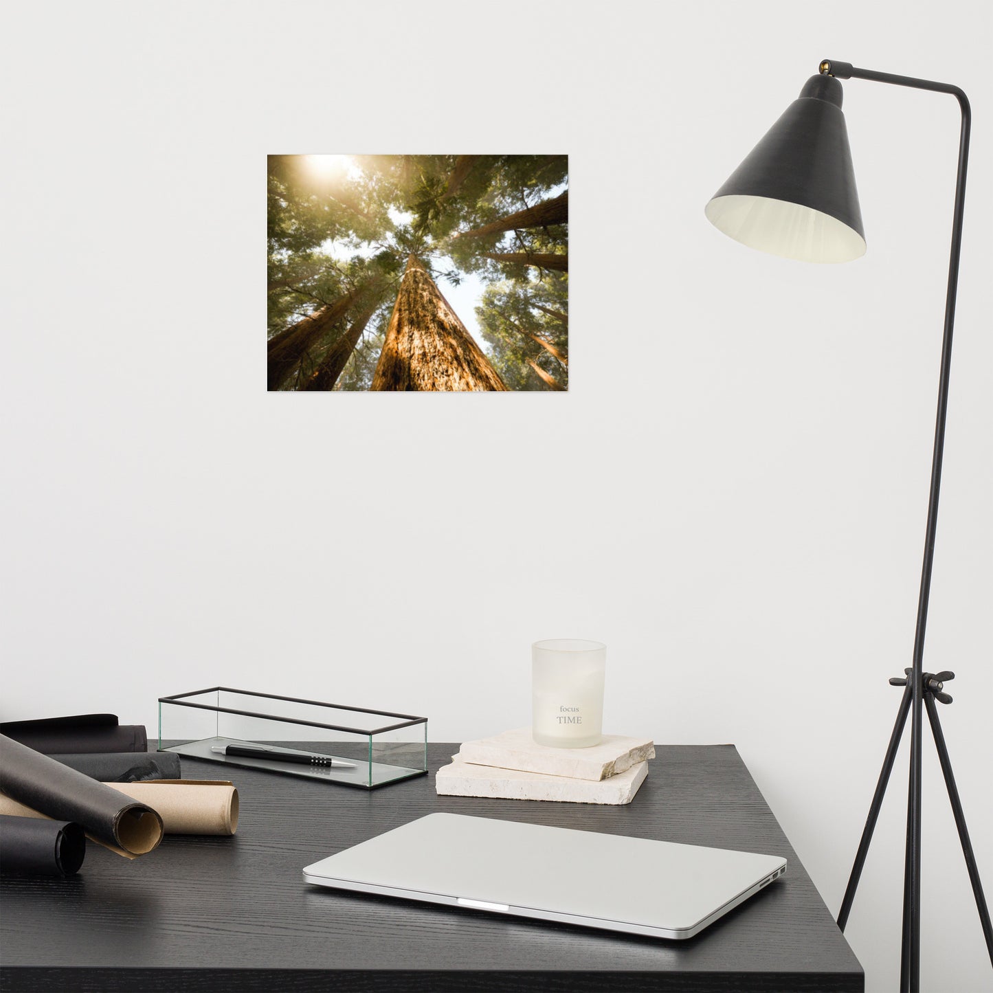 Looking Up Pine Trees Rustic Farmhouse Style Botanical Nature Photograph Loose Wall Art Print