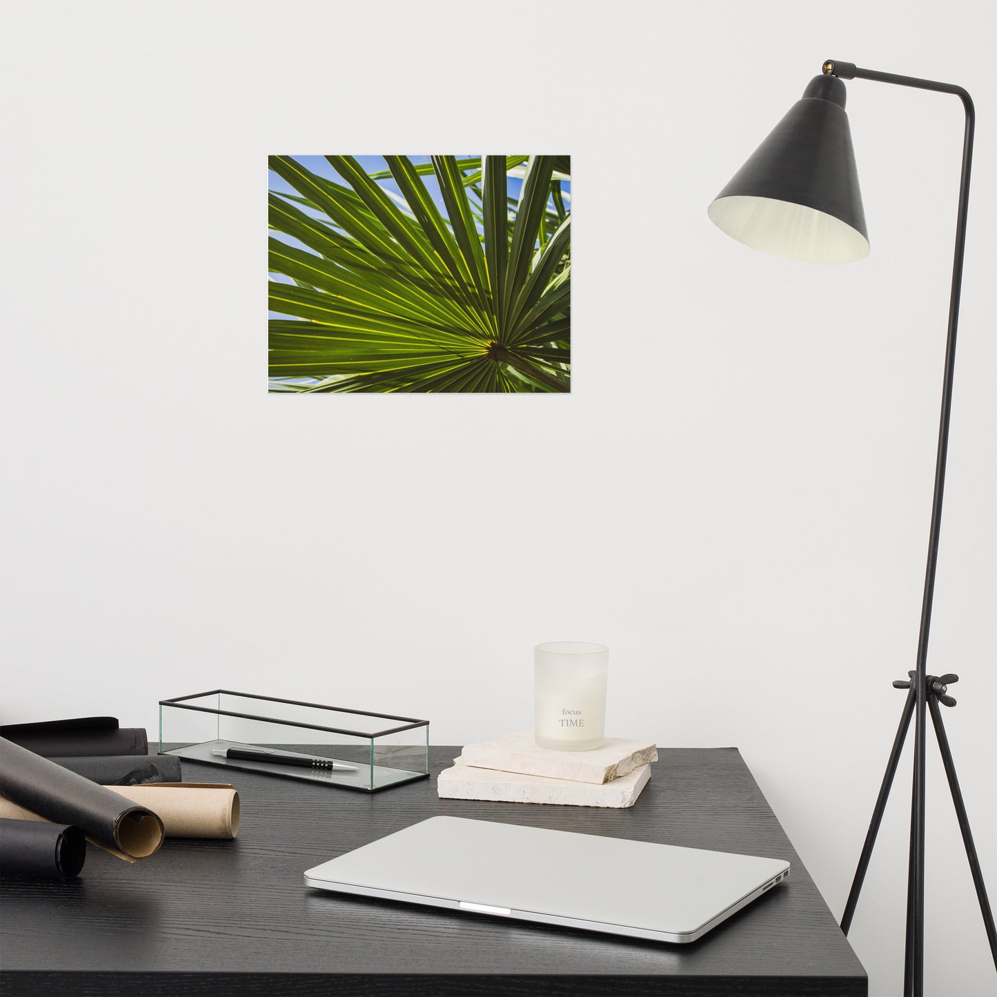 Colorized Wide Palm Leaves Botanical Nature Photo Loose Unframed Wall Art Prints
