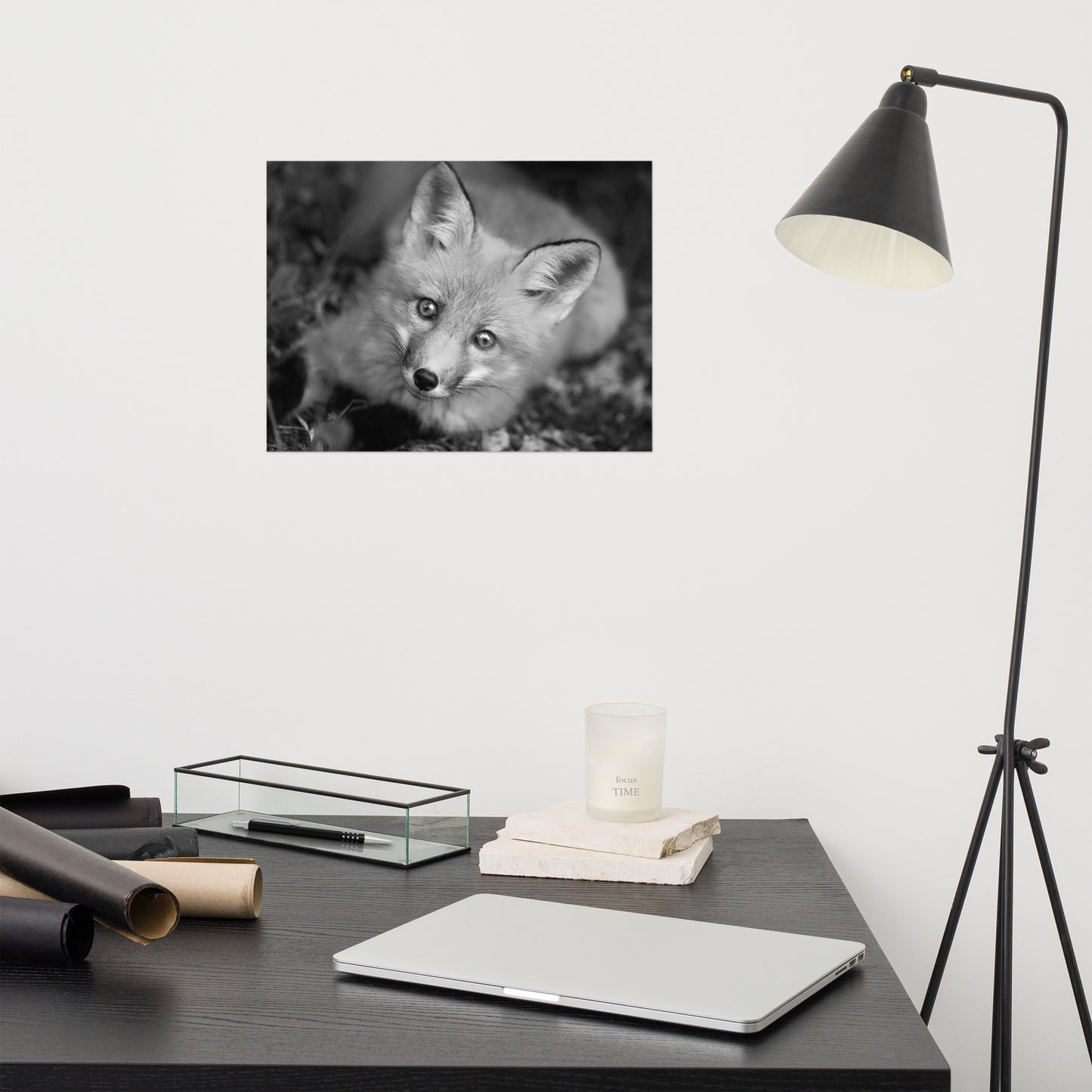 Young Red Fox Face Black and White Animal Wildlife Rustic Farmhouse Style Nature Photograph Loose Wall Art Print