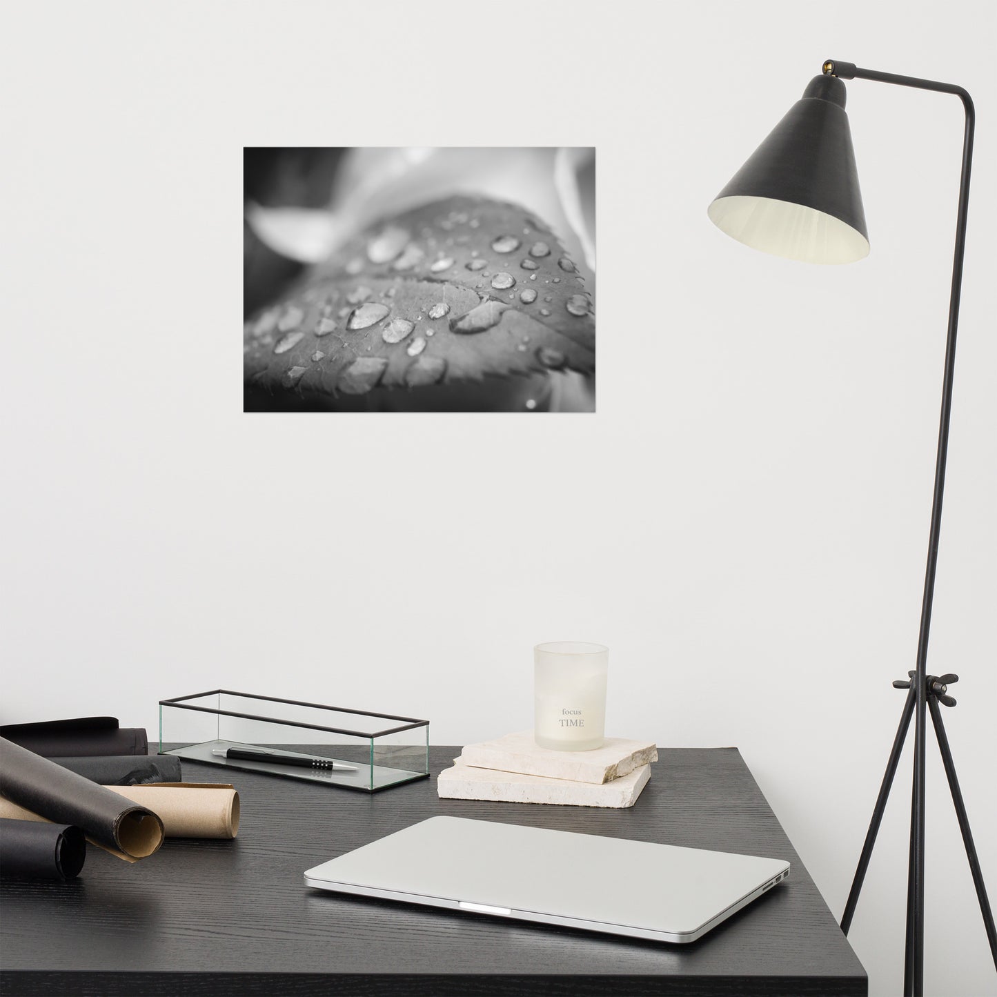 Dew on Leaf of Rose Plant Black and White Rustic Botanical Nature Photo Loose Unframed Wall Art Prints
