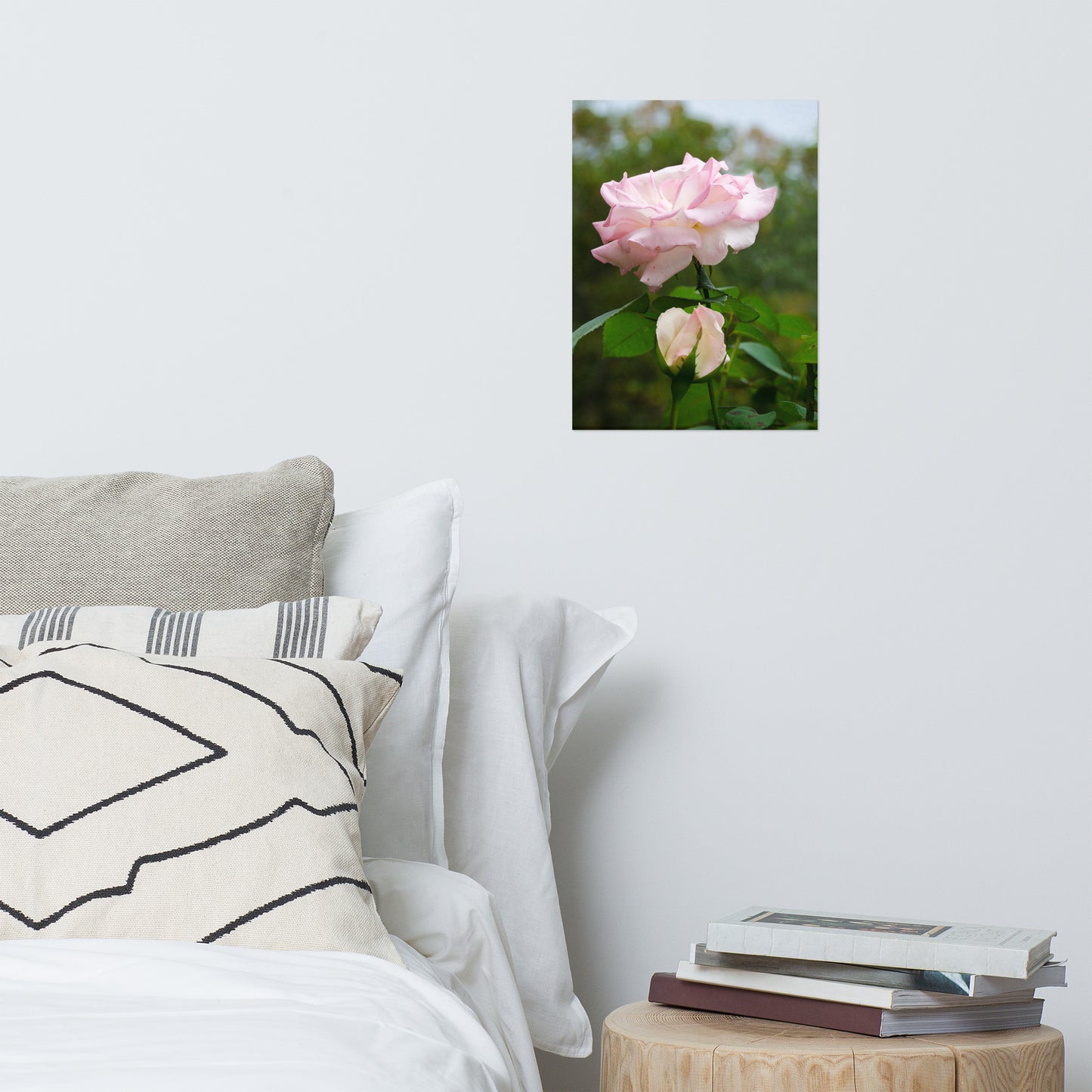 Wall Picture Flower: Admiration Rose - Botanical / Floral / Flora / Flowers / Nature Photograph Loose / Unframed / Frameless / Frameable Wall Art Print - Artwork