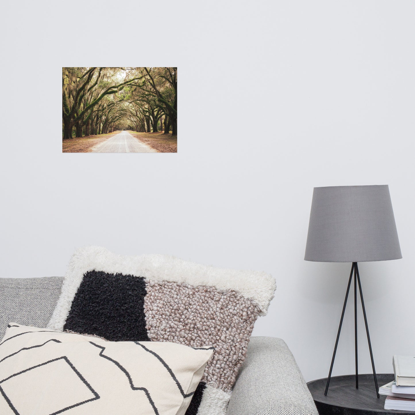 Live Oak Trees and Spanish Moss Roadway Savannah Ga Rustic Farmhouse Style Nature Landscape Photo Loose Wall Art Print